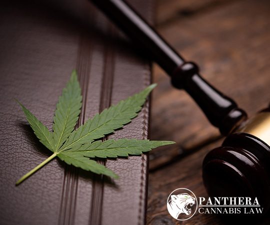 cannabis law