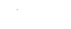 Panthera Group logo
